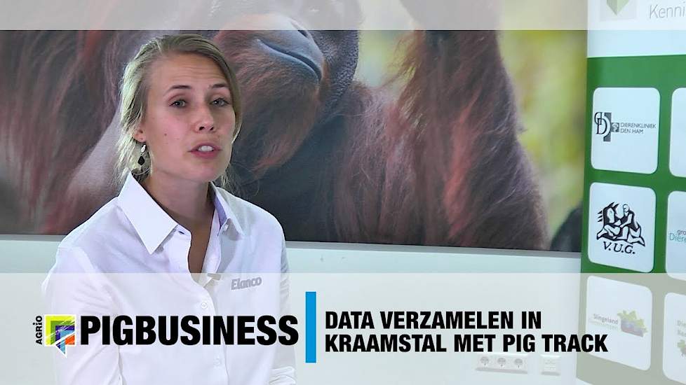 Data verzamelen in kraamstal met Pig Track - VKC Apenheul 2017 - Pig Business