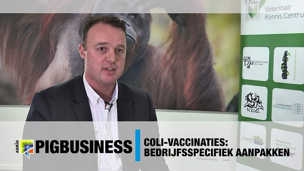 Coli vaccinaties; Bedrijfsspecifiek aanpakken - VKC Apenheul 2017 -  Pig Business