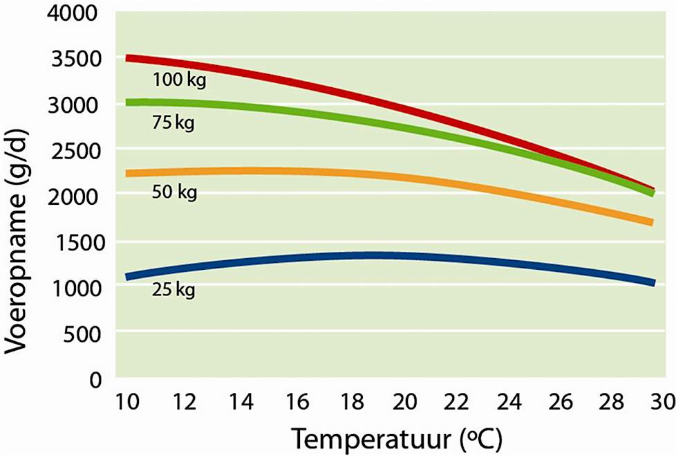 Grafiek temperatuur voeropname