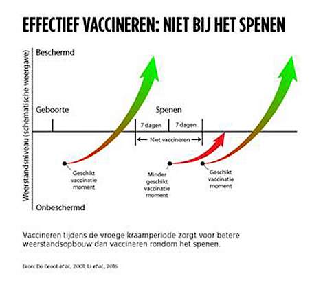 Effectief vaccineren: niet bij het spenen