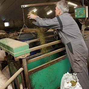 luzerne afleidingsmateriaal dragende zeugen groepshuisvesting