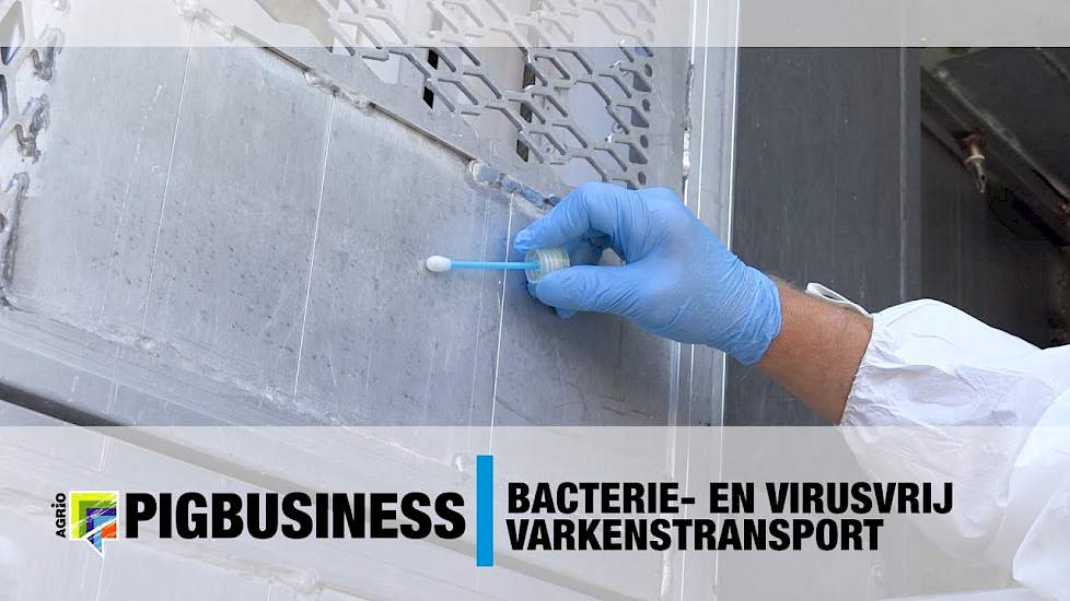 Bacterie- en virusvrij varkenstransport